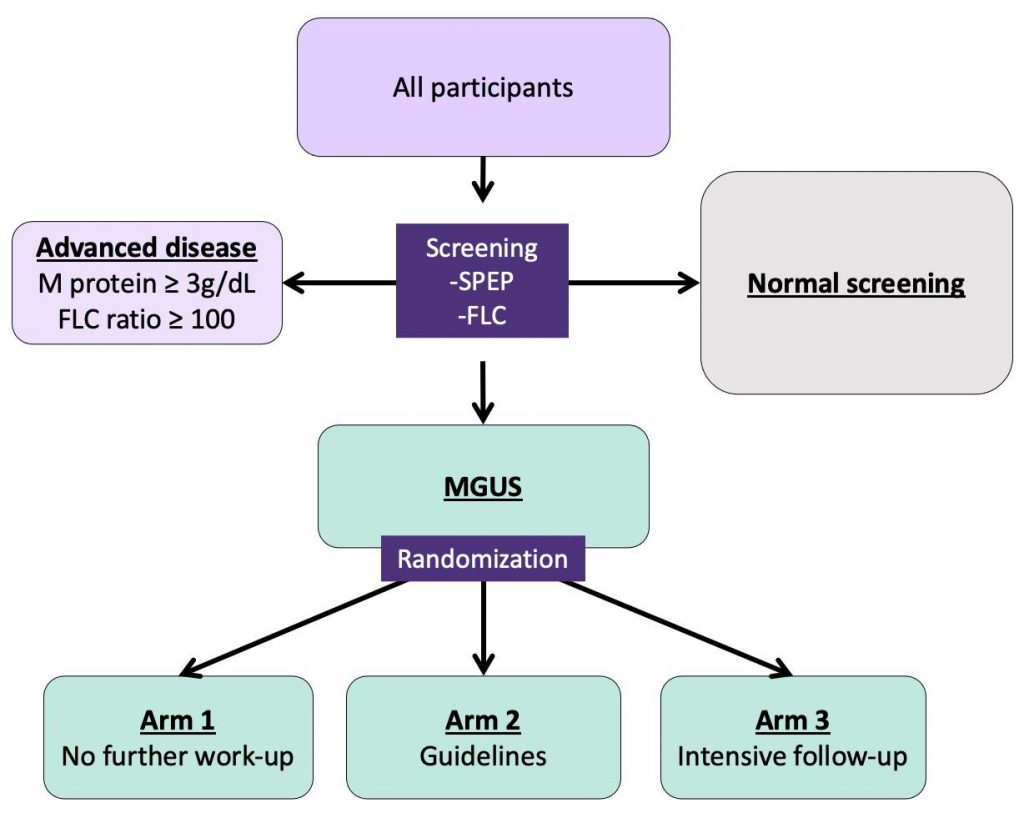 Diagram of participant groups istopmm
